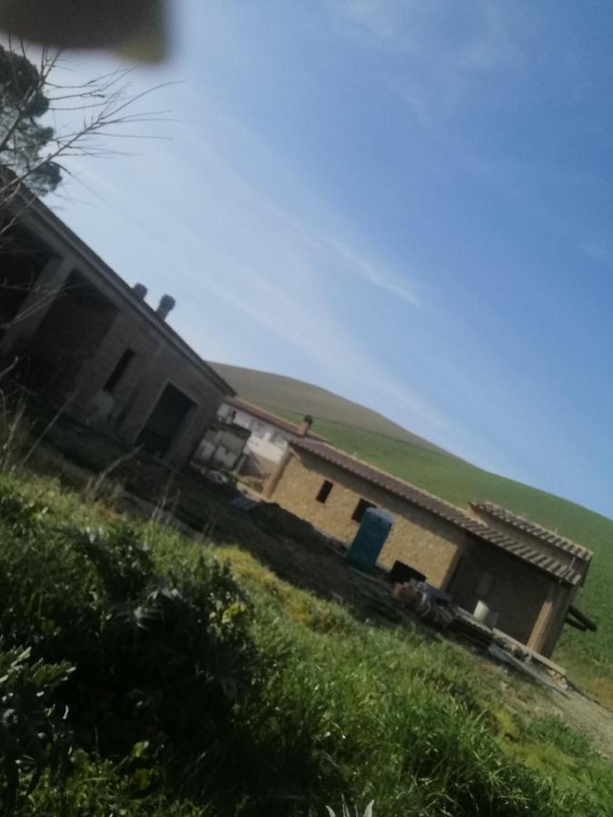 La Quinta Decima Bioagriturismo Fattoria Spedaletto 외부 사진