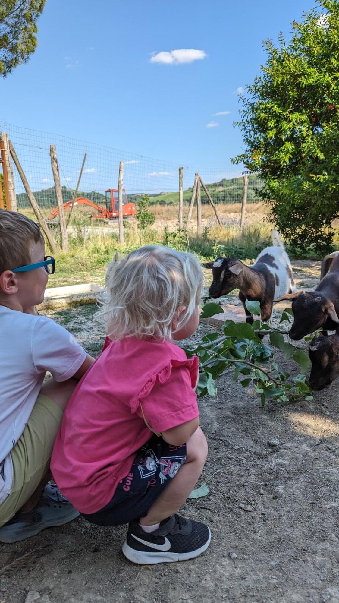 La Quinta Decima Bioagriturismo Fattoria Spedaletto 외부 사진