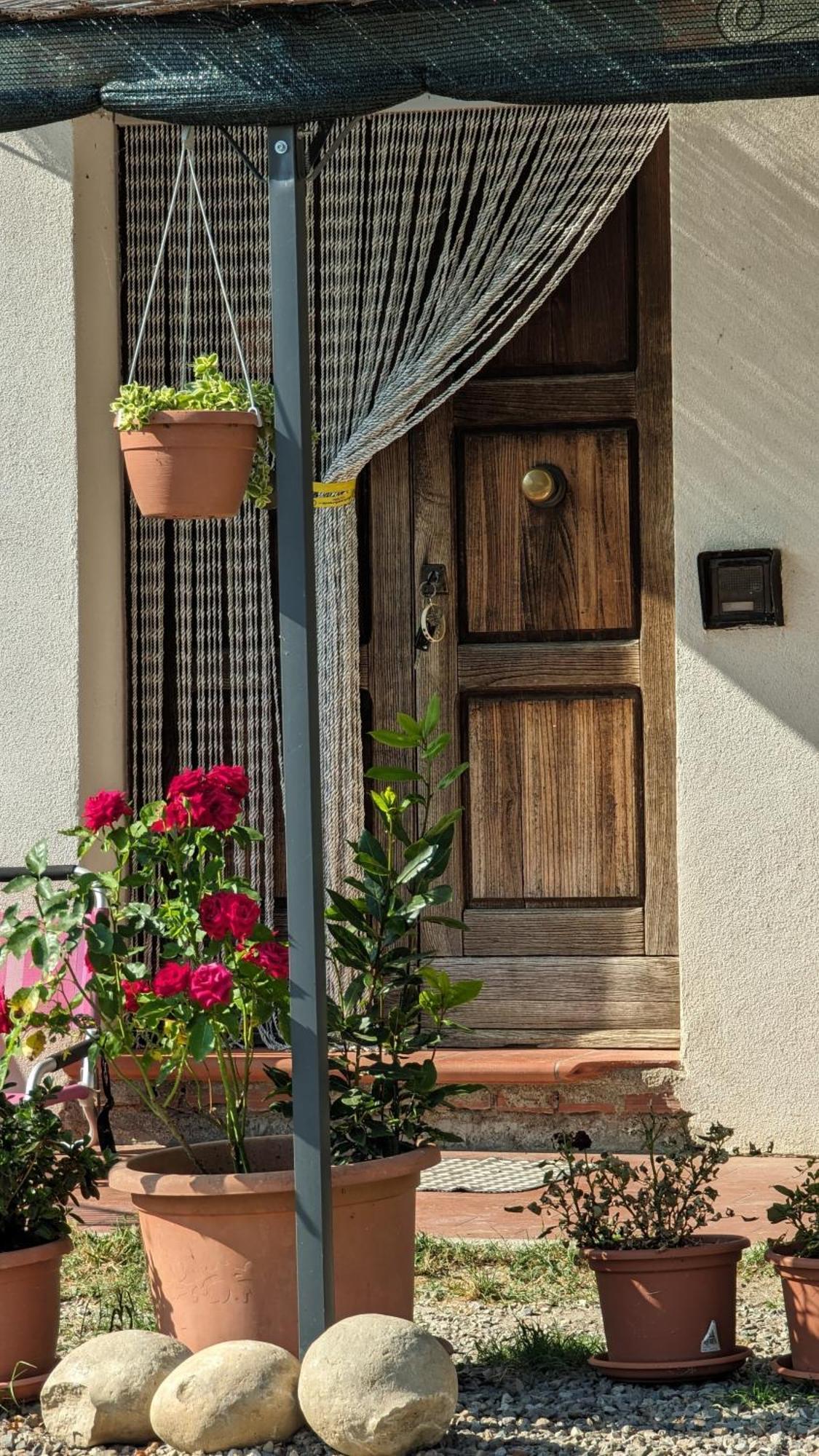 La Quinta Decima Bioagriturismo Fattoria Spedaletto 외부 사진