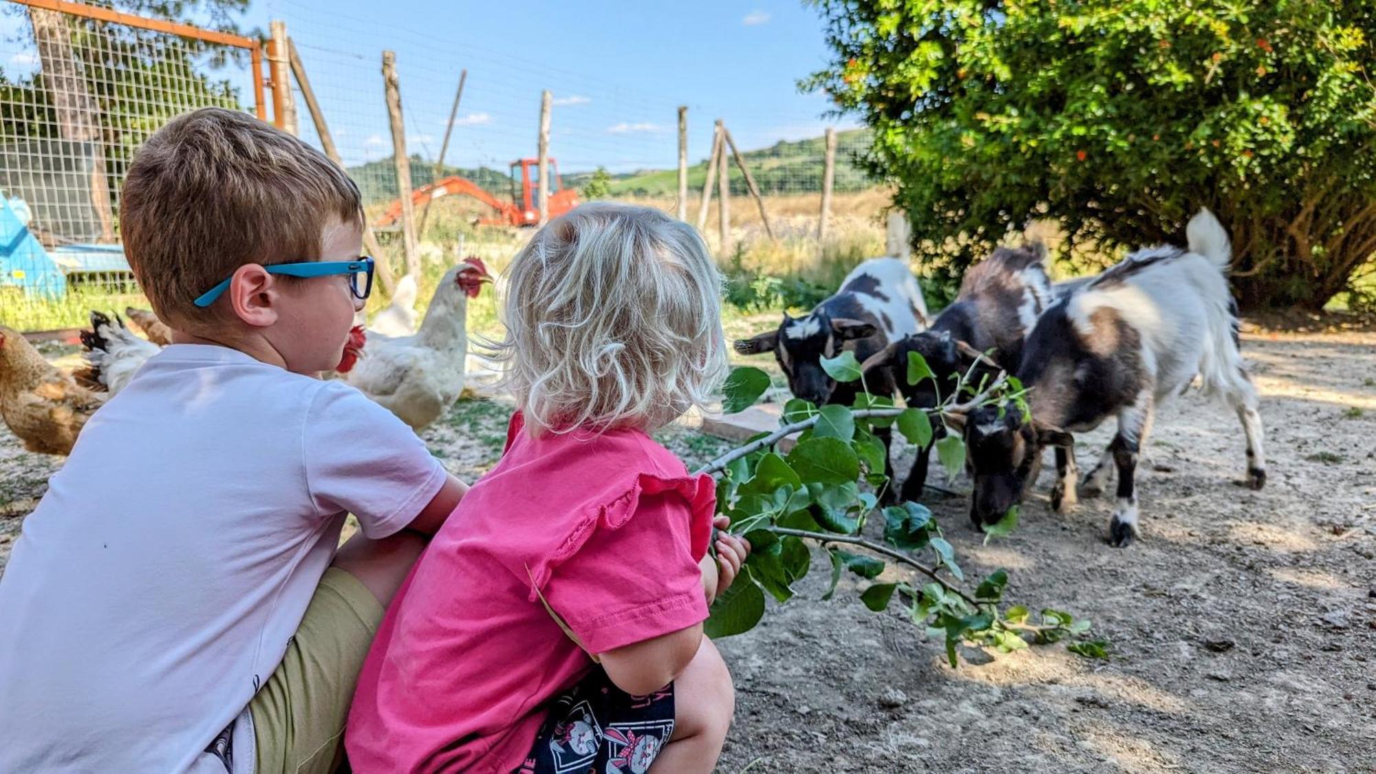 La Quinta Decima Bioagriturismo Fattoria Spedaletto 외부 사진